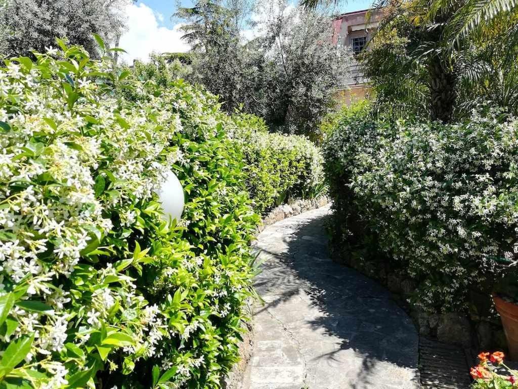 Casa Dinky Attico Con Terrazza Vista Mare Apartment Formia Bagian luar foto